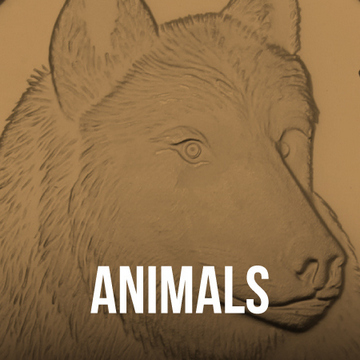 Animals Silver Bullion