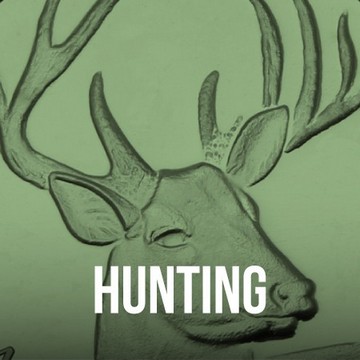 Hunting Silver Bullion