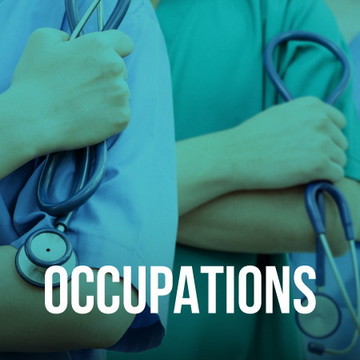 Occupational Silver Bullion