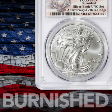 Burnished Silver American Eagles