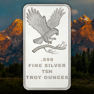 10 Ounce Silver Bars