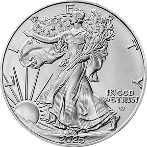 2025 Silver American Eagle BU Coin in Flip 2025 Silver American Eagle BU Coin in Flip