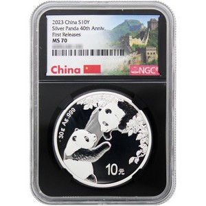 2023 China Silver Panda 30g BU Coins | SilverTowne