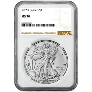 2023 Silver American Eagle MS70 NGC Brown Label 2023 Silver American Eagle MS70 NGC Brown Label
