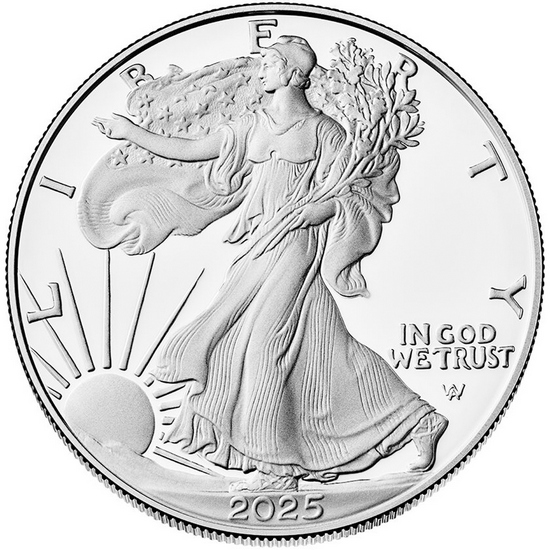 2025 W Silver American Eagle Coin PF in OGP