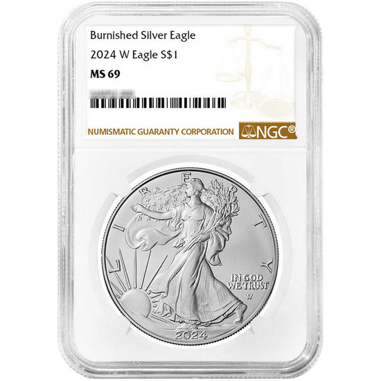 2024 W Burnished Silver American Eagle MS69 NGC Brown Label